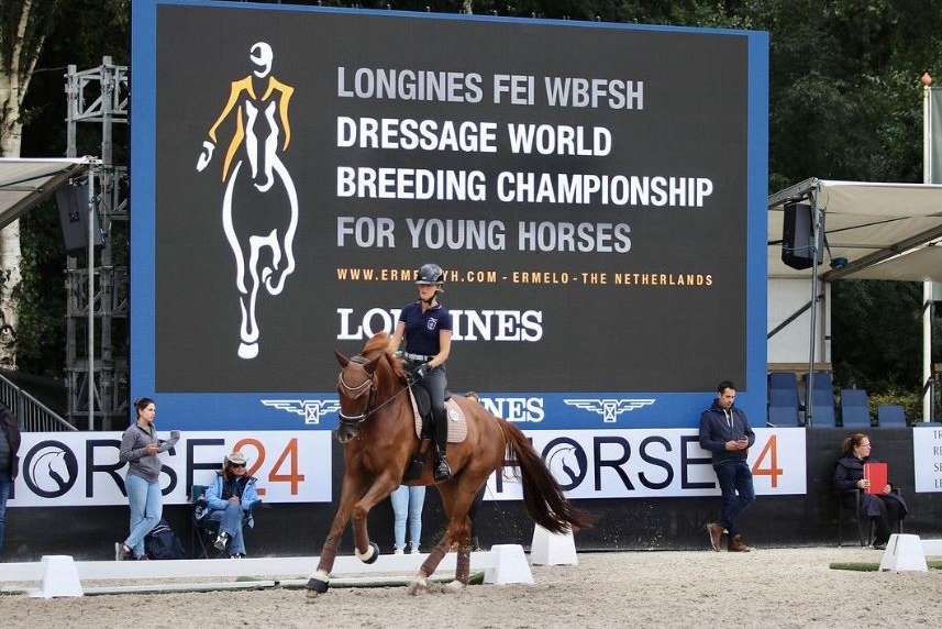Championnats du Monde Jeunes Chevaux d'Ermelo