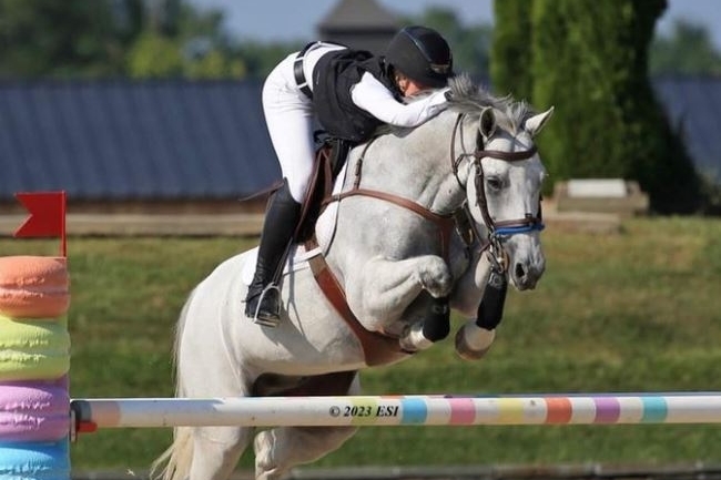 Les chevaux Hus ne cessent de briller outre atlantique !