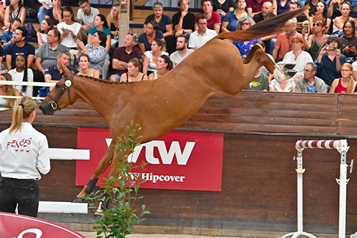 Top price de l'année !