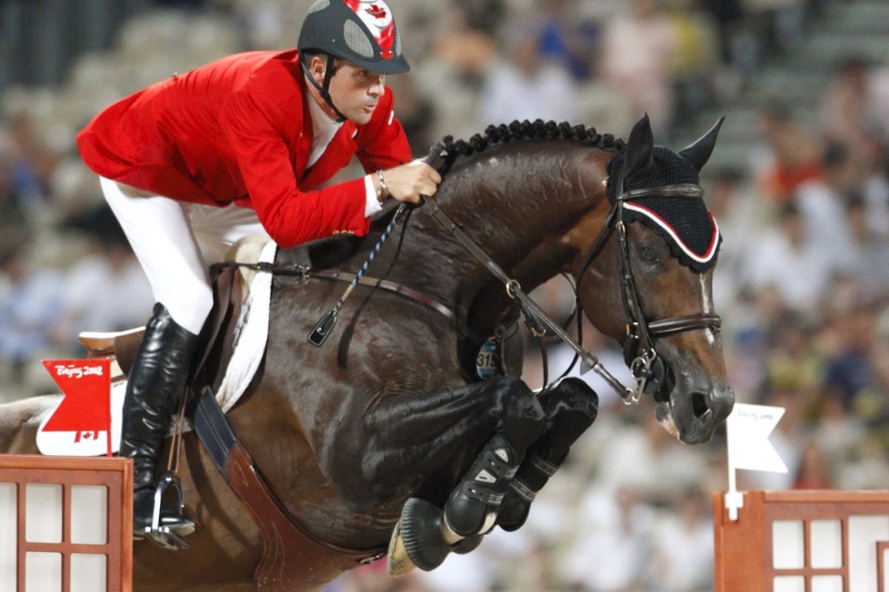 Des étalons exceptionnels pour l'OPU du 20/21 Novembre !