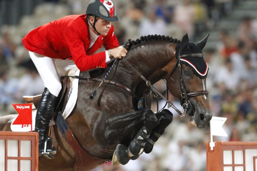 Des étalons exceptionnels pour l'OPU du 20/21 Novembre !