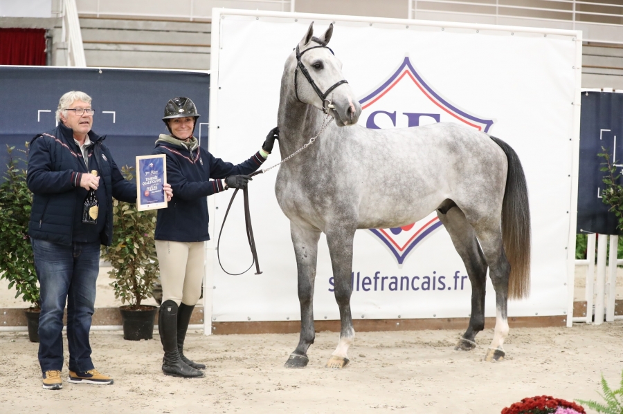 L'écurie du Herrin et Kosovo de Hus sur le podium des qualificatives étalons !