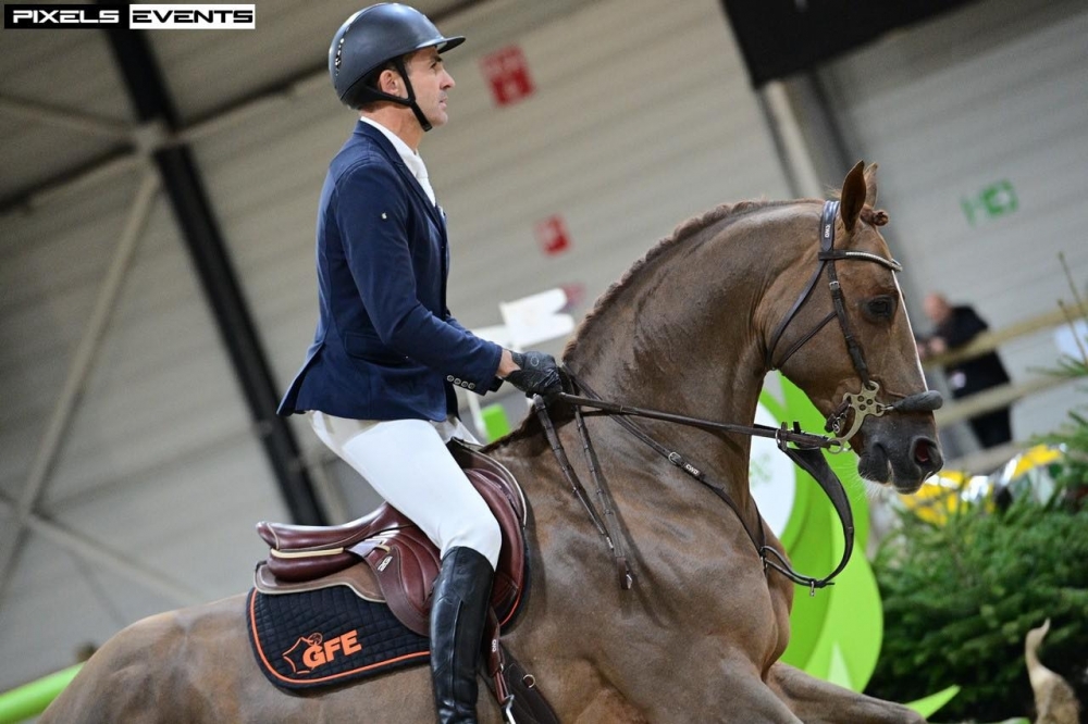 Un nouveau classement international pour l'étalon Falko de Hus*GFE et FX...