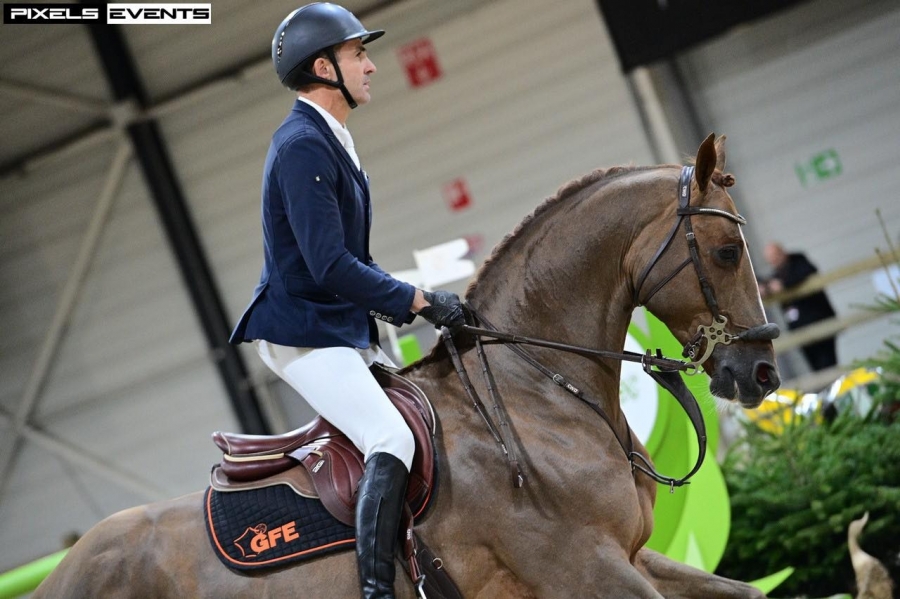 Un nouveau classement international pour l'étalon Falko de Hus*GFE et FX Boudant