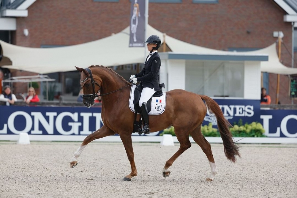 Fétiche de Hus quitte Camillet Judet-Cheret (Pamfou dressage) et s'envole...