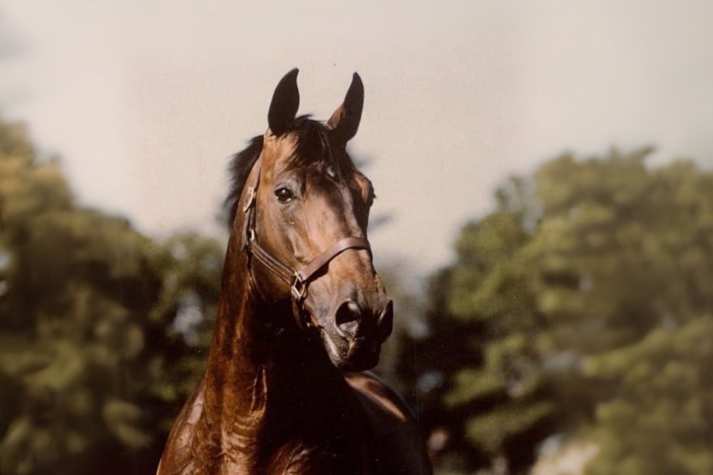 Galoubet A, le précurseur (1/2)